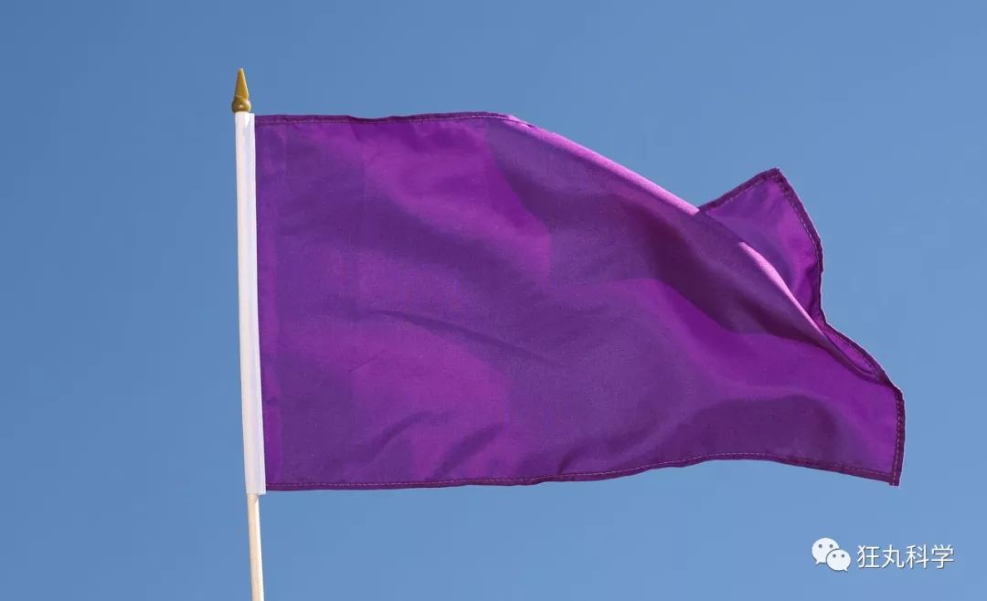国旗为什么没有紫色的？别问，问就是穷