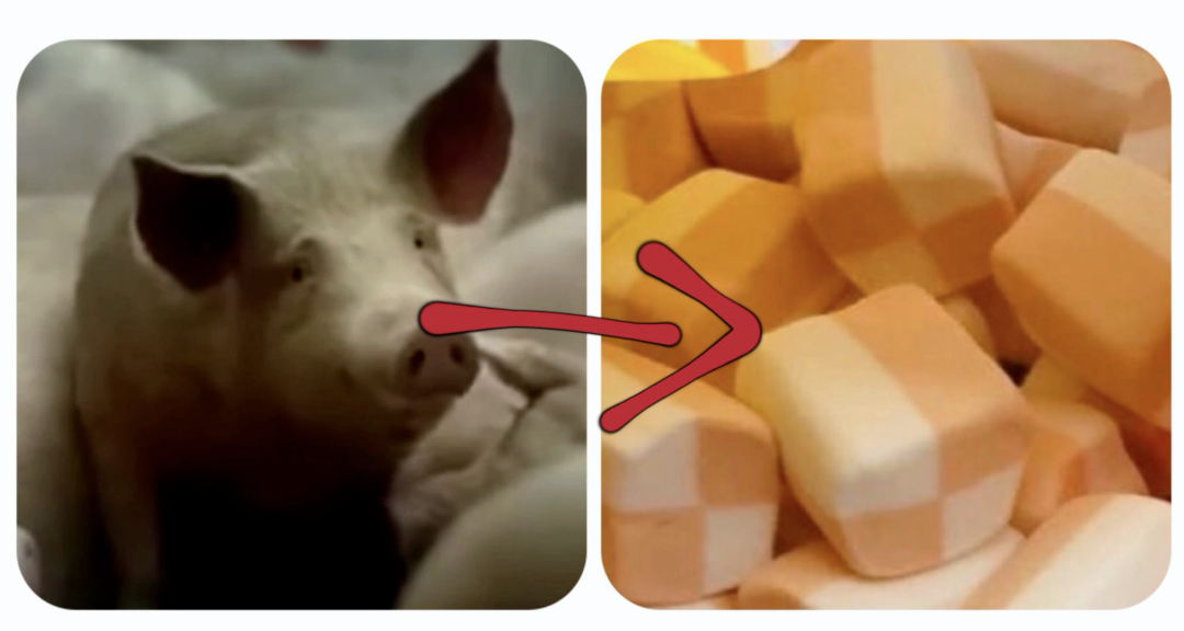一头猪到一包棉花糖，中间到底发生了什么？