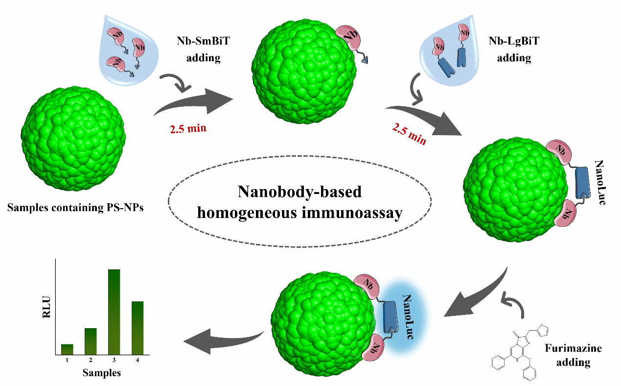 青岛能源所实现20纳米聚苯乙烯纳米塑料快速检测<br/>