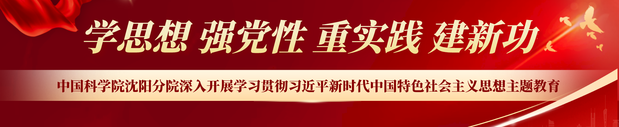 深入开展学习贯彻习近平新时代中国特色社会主义思想主题教育