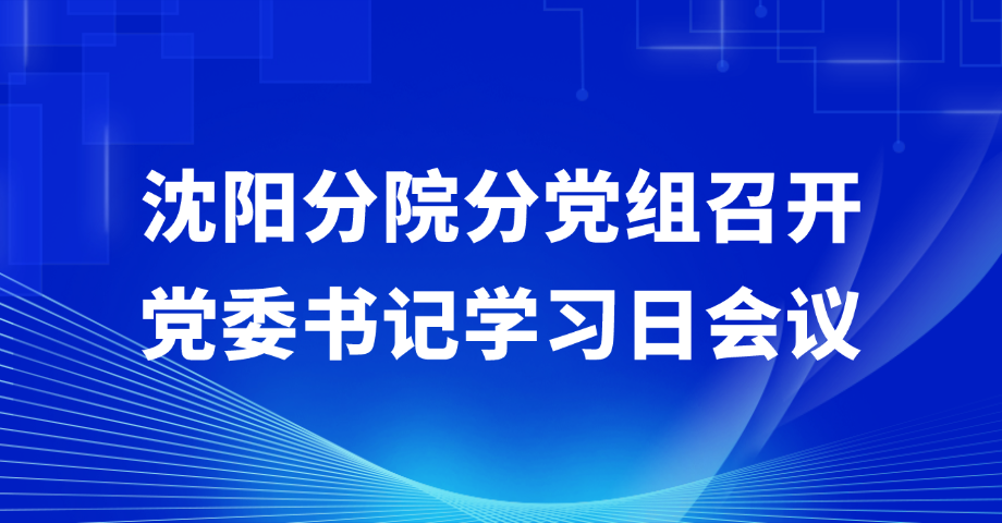 沈阳分院分党组召开党委书记学习日会议
