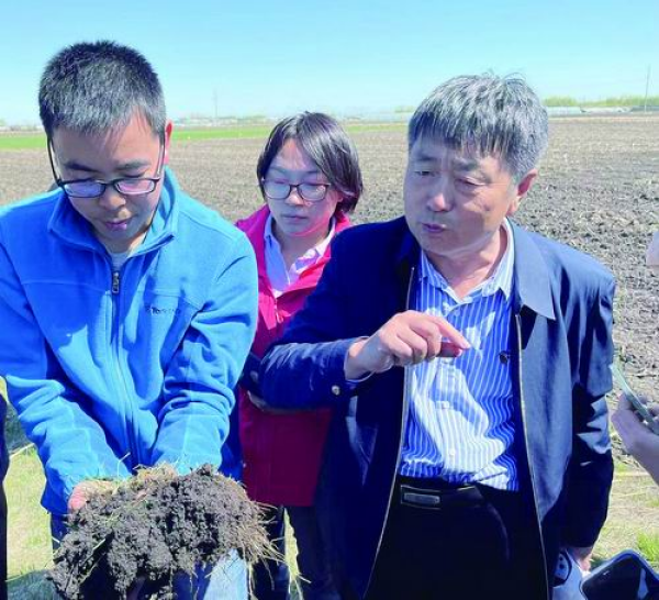 青春扎根黑土地  协力创新保粮仓